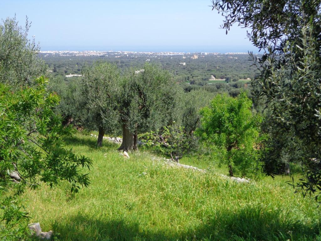 Alla Panoramica Monopoli Quarto foto